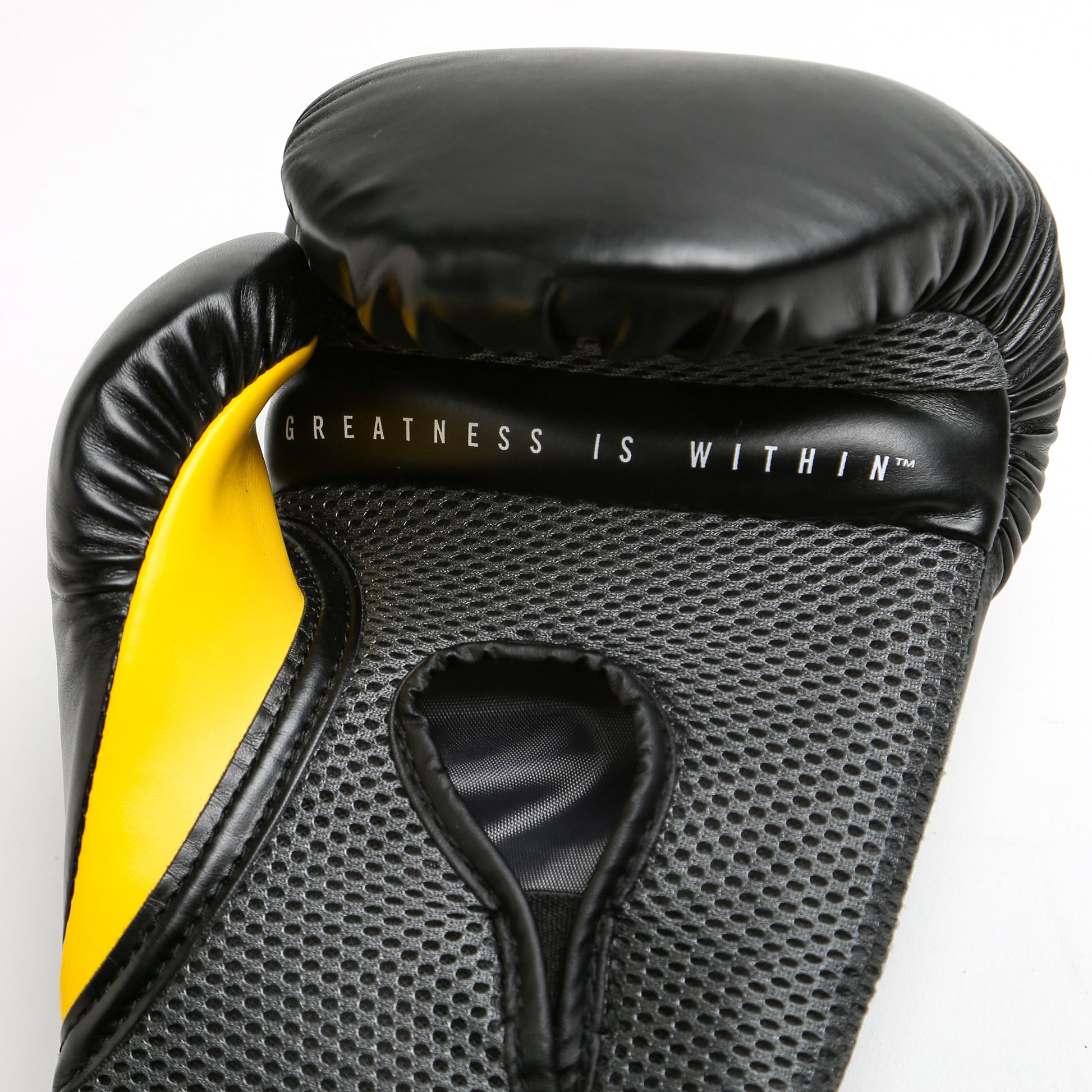 Prostyle Elite V2 Training Boxing Gloves, 16Oz, Black